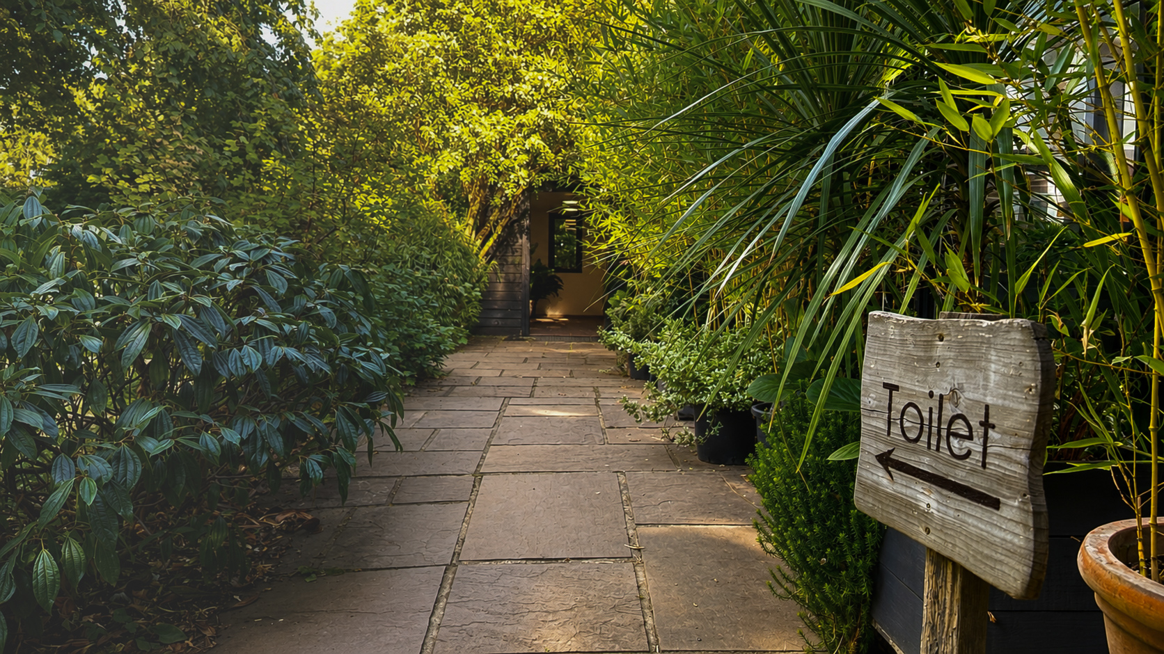 Sunlit paved garden path lined with lush planting leading to the café entrance