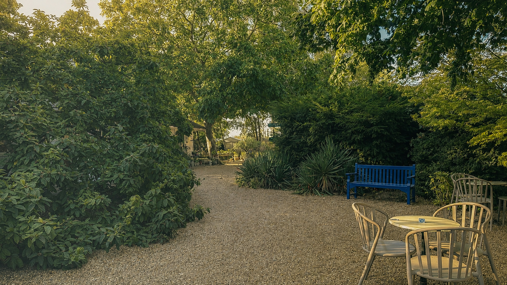 Bright conservatory dining area open to the garden